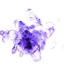 Wc5r0115m_lg