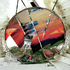Nayar_one_these_days_web