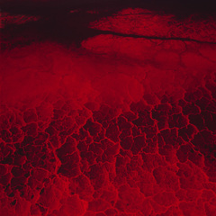 Lake project 2,David Maisel