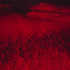 David_maisel__lake_project_2__c_print__101