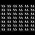 12_delgado_organic_manifesto_shimmer