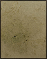 2010