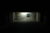 Ds_08_installation_view_totipotent