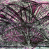 P1010011_artprofile