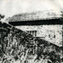 Paulus5