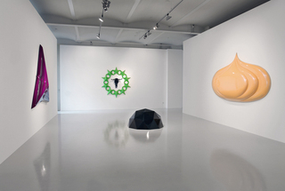 installation view,Vincent Szarek
