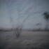 Desert_dusk
