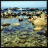 Sea1