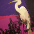 Sunsetegret_600
