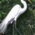 Egretgreenco600