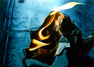 Paper_on_fire__2002__oil_2