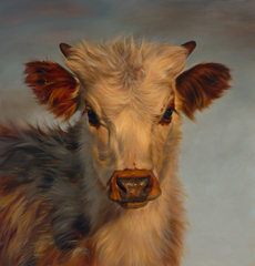Calf in Winter,Teresa Elliott