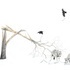 Ravenswolves_small
