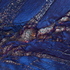 Blue_palm_web