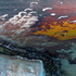 Birds_overhead