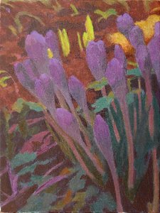 Crocuses