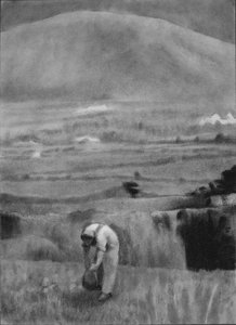 Field_worker