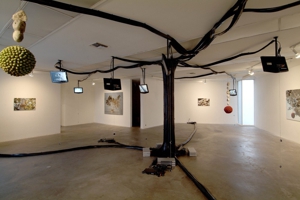 Tauber_2007_sickamour_installation12_lores