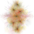 Blood_and_the_magic_number_web