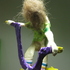 Botello_photo