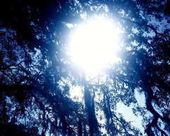 Untitled__2005