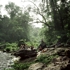 Misol_ha_i__chiapas__2007_copy