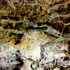 0823091603