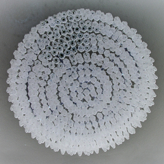 Sarahrossiter_neutrality_fixture__2008