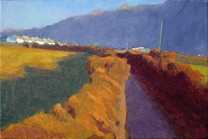 Hollow_lane_between_gorse