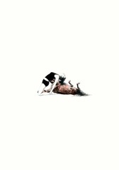 Itchy Backs,Rachel Goodyear