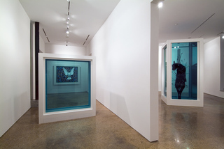 Installation Image,Damien Hirst
