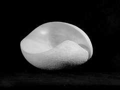 Sc04