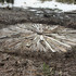 Swampcircle7sm