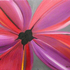 20091226_kelli_stretesky_11_22_x_14_22_flower_0004