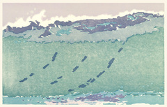 Sc005web