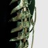 Spine_close_up
