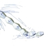 Bead_sketch