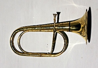 ,ARIANNA CAROSSA