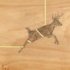 Mcconnell_bounded_leap-02