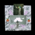 Mcguinness-merckxed_on_the_streets_in_these_god_awful_foxy_times2006-08__9x9