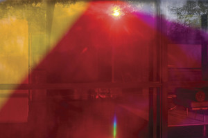 00620100317