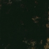 Fitzgerald8