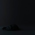 Goldfarb_blackbird