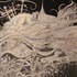 Dscn0948