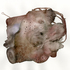 Painting-4