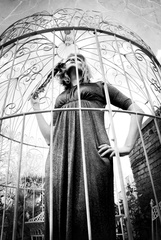 Caged Bird Sings,