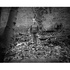 Screen_shot_2010-01-03_at_22