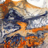 A_gorman_pass_poppies
