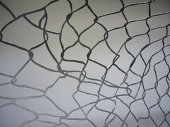 Jed_lind_2008