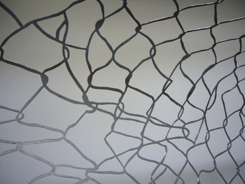 Jed_lind_2008